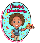 CHINITOS CHIMICHURRIS LLC